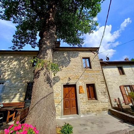 Casina La Quercia Apartamento Santa Sofia Exterior foto