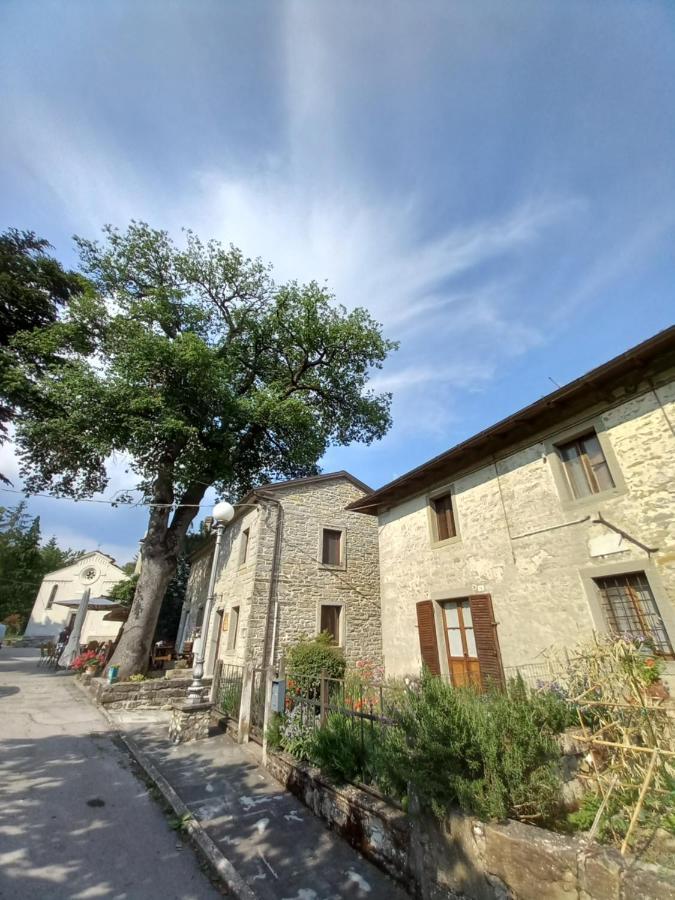 Casina La Quercia Apartamento Santa Sofia Exterior foto