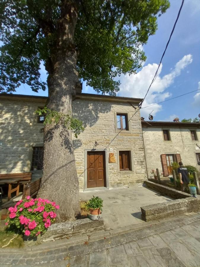 Casina La Quercia Apartamento Santa Sofia Exterior foto