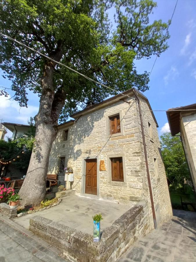 Casina La Quercia Apartamento Santa Sofia Exterior foto