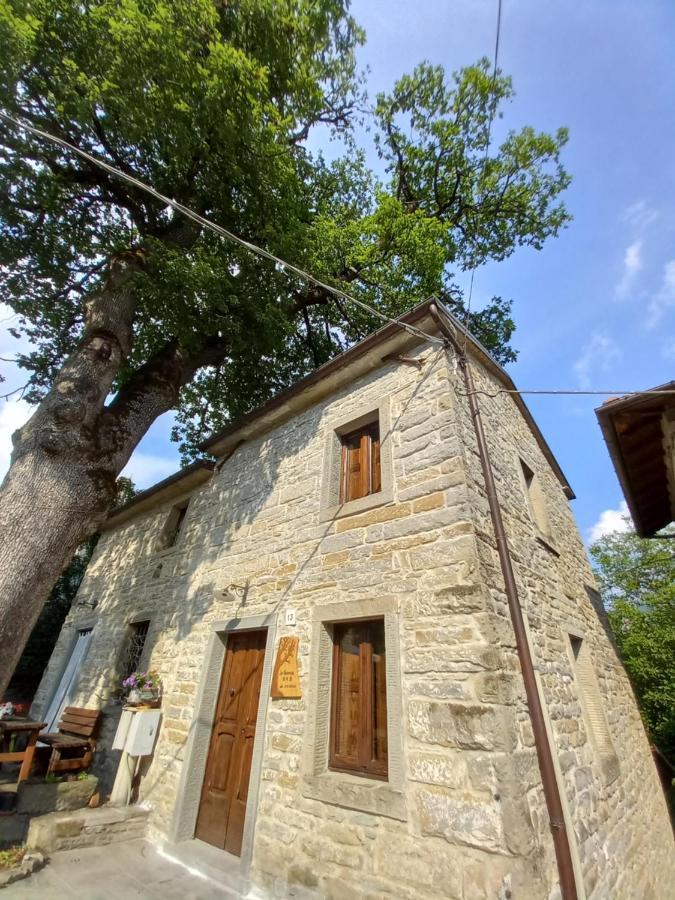Casina La Quercia Apartamento Santa Sofia Exterior foto